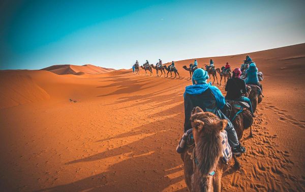 Randonnée à dos de dromadaire à Merzouga